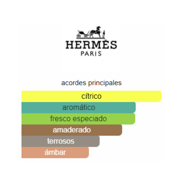Acordes principales de Terre D'Hermes - 100 ml - Eau Intense Vetiver - Eau de Parfum - Hombre - Hermes